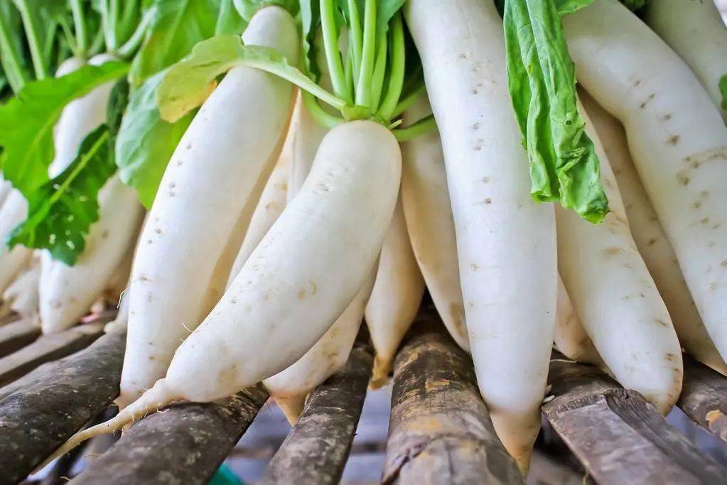蔬菜配送公司承包食堂的優(yōu)勢。